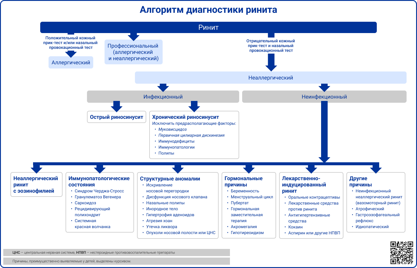 Алгоритм диагностики ринита